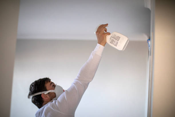 Best Preventive Mold Services in Fruit Hill, OH