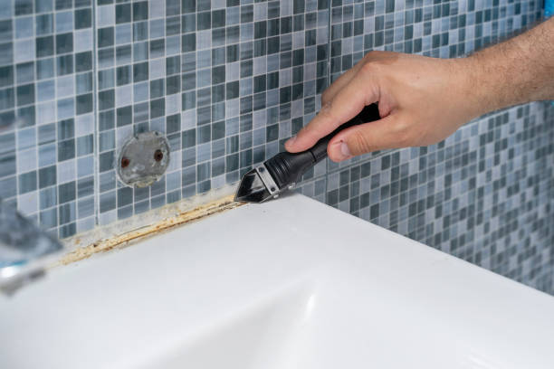 Best Bathroom Mold Remediation in Fruit Hill, OH
